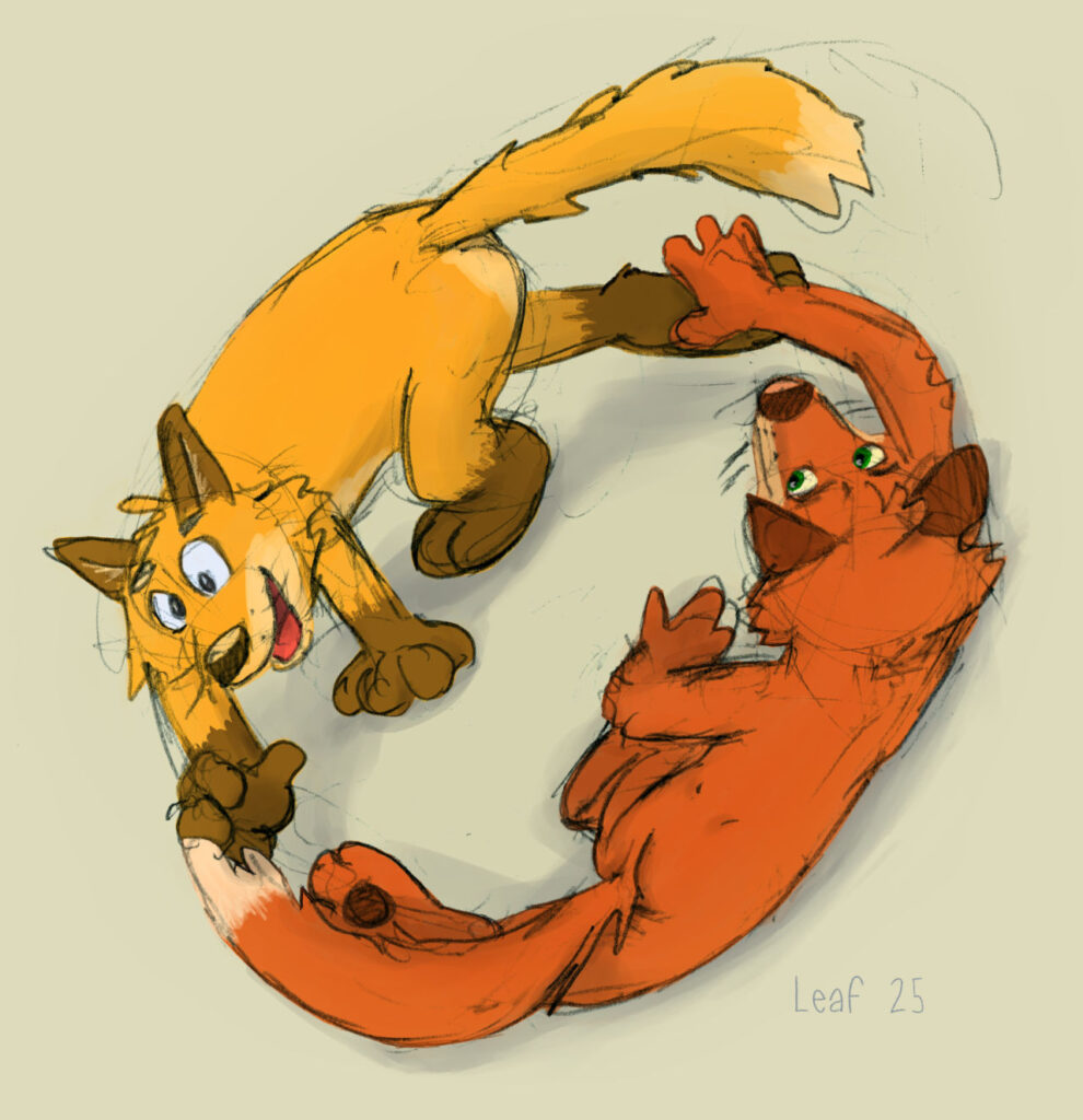Colored drawing of 2 foxes chasing each other's tails.