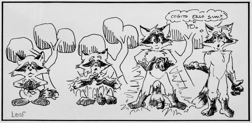 Sequential art. A small feral (non-anthropomorphic) raccoon holds an apple, presumably biting it. He drops the apple as his arms transform into anthro arms, then the rest of his body transforms. In the final panel he is standing and thinking, "Cogito Ergo Sum", or I think, therefore I am (René Descartes).